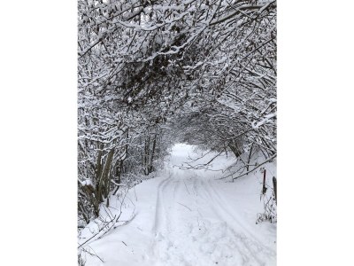 Chalet Chalet Prinz - Environment photo 25