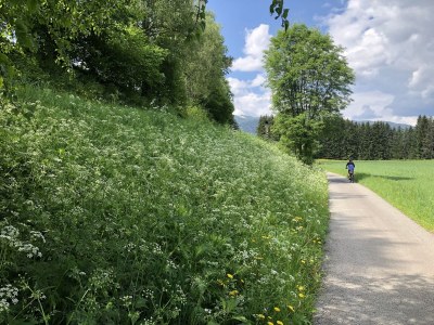 Chalet Chalet Prinz - Environment photo 32