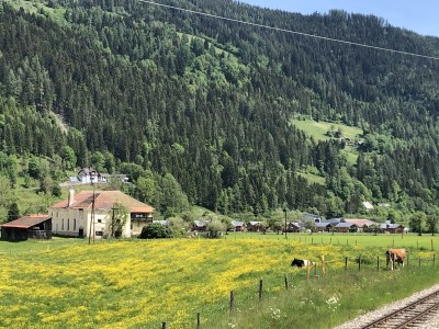 Chalet Chalet Prinz - Environment photo 34