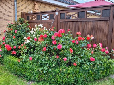 Holiday house Ostfriesland to huus - Features photo 21