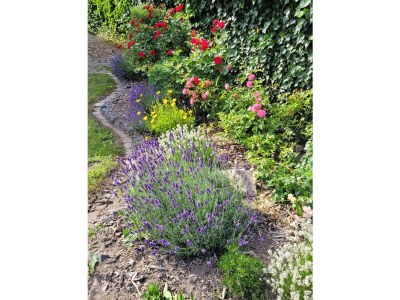 Holiday house Ostfriesland to huus - Features photo 23