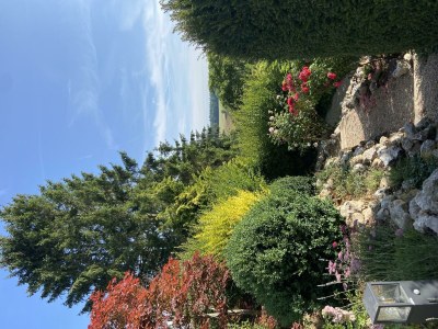 Apartment Ferienwohnung Traumprinz 1-3 Personen - Outdoor photo 9