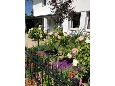 Apartment Ferienwohnung Traumprinz 1-3 Personen - Outdoor photo 10