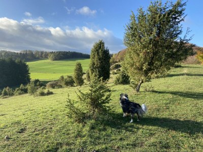 Apartment Ferienwohnung Traumprinz 1-3 Personen - Outdoor photo 13