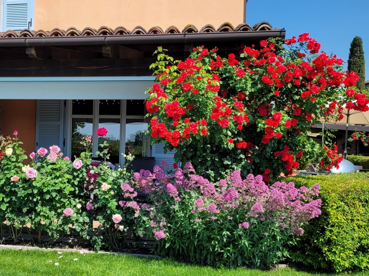 Holiday apartment Casa Irene 1 - Outdoor photo 2