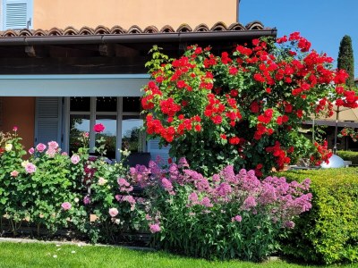 Holiday apartment Casa Irene 1 - Outdoor photo 2