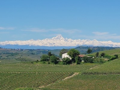 Holiday apartment Casa Irene 1 - Outdoor photo 9