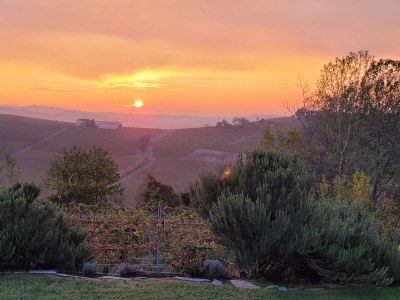 Holiday apartment Casa Irene 1 - Outdoor photo 11