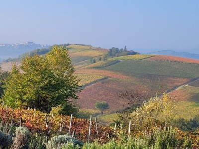 Holiday apartment Casa Irene 1 - Outdoor photo 12