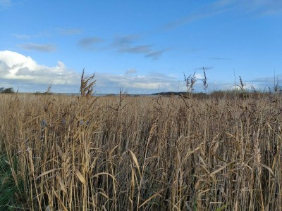 Holiday house 8 person holiday home in Lemvig-By Traum - Outdoor photo 19