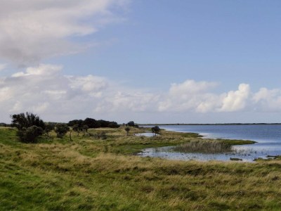 Holiday house 8 person holiday home in Lemvig-By Traum - Outdoor photo 34