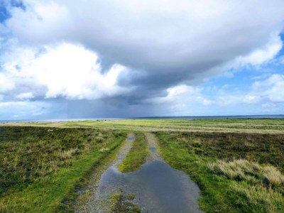 Holiday house 8 person holiday home in Lemvig-By Traum - Outdoor photo 37