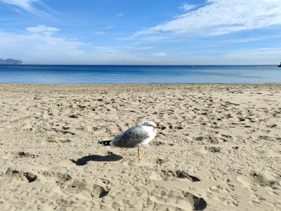 Holiday house Casa Nautica - Environment photo 29