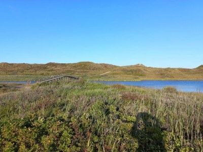 Holiday house Cozy Hideaway in Houstrup - By Traum Ferienwohnungen - Outdoor photo 17