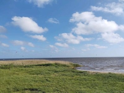 Holiday house 4 Sterne Ferienhaus in Ringkøbing-By Traum - Outdoor photo 27