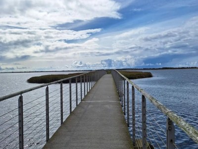 Holiday house 4 Sterne Ferienhaus in Ringkøbing-By Traum - Outdoor photo 38