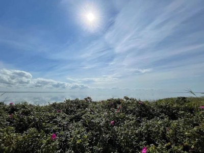 Holiday house 4 Sterne Ferienhaus in Ringkøbing-By Traum - Outdoor photo 42