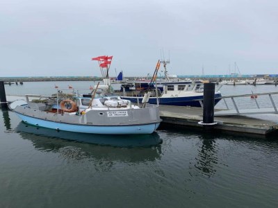 Holiday house 5 Sterne Ferienhaus in Hadsund-By Traum - Outdoor photo 55