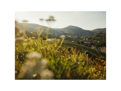 Holiday house Oma Ludwin 1 - Environment photo 32