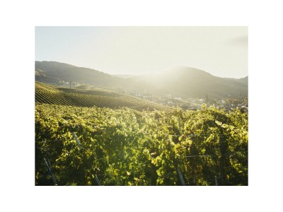 Holiday house Oma Ludwin 1 - Environment photo 37