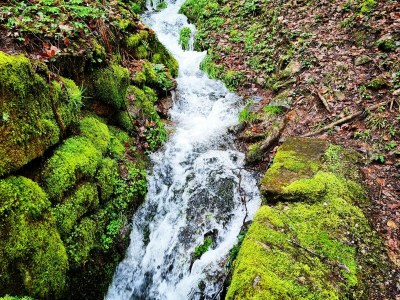 Holiday apartment No title - Environment photo 20