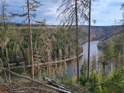 Apartment Lakeside Family Escape - Environment photo 38