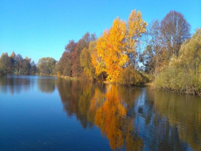 Apartment Lakeside Family Escape - Environment photo 39
