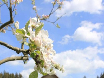 Apartment Lakeside Family Escape - Outdoor photo 40