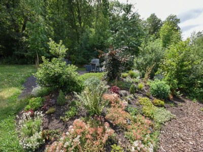 Holiday house Cottage in Germany with Sun Terrace & BBQ - Outdoor photo 13