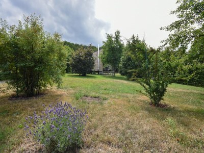 Holiday house Cottage in Germany with Sun Terrace & BBQ - Outdoor photo 16