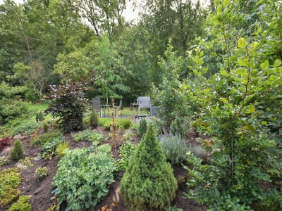 Holiday house Cottage in Germany with Sun Terrace & BBQ - Outdoor photo 17