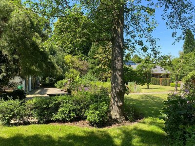 Holiday house Village House in Leende near Star Restaurant - Outdoor photo 2