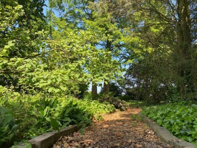 Holiday house Village House in Leende near Star Restaurant - Outdoor photo 6