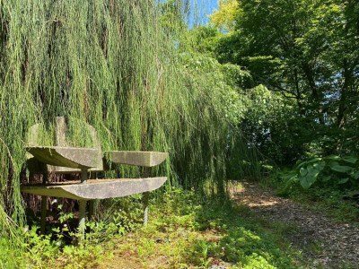 Holiday house Village House in Leende near Star Restaurant - Outdoor photo 7