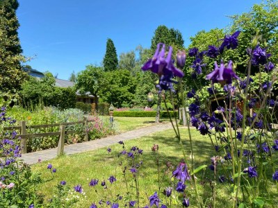 Holiday house Village House in Leende near Star Restaurant - Outdoor photo 9