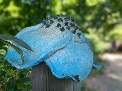 Holiday house Village House in Leende near Star Restaurant - Outdoor photo 38