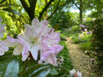 Holiday house Village House in Leende near Star Restaurant - Outdoor photo 39