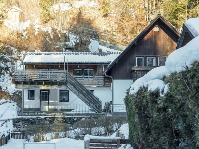 Holiday house Wohnung Feld am See am Feldsee - Outdoor photo 7