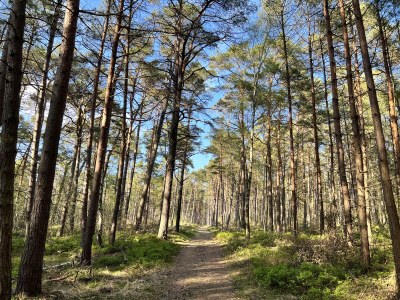 Holiday house “Anchor 2” - Environment photo 24