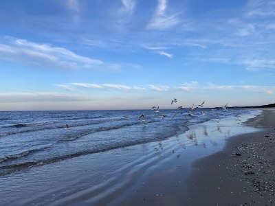 Holiday house “Anchor 2” - Environment photo 25