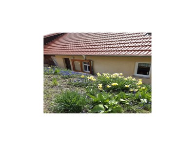 Holiday house Charmantes Ferienhaus mit Naturgarten - Outdoor photo 7