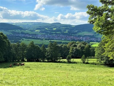 Holiday house Charmantes Ferienhaus mit Naturgarten - Environment photo 25