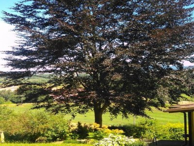 Holiday house Charmantes Ferienhaus mit Naturgarten - Environment photo 30