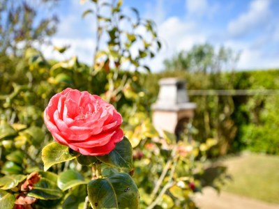 Holiday house Atmospheric Breton house with garden - Outdoor photo 28