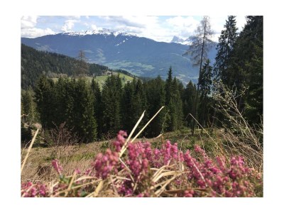 Holiday apartment Laitacherhof 3 - Environment photo 26