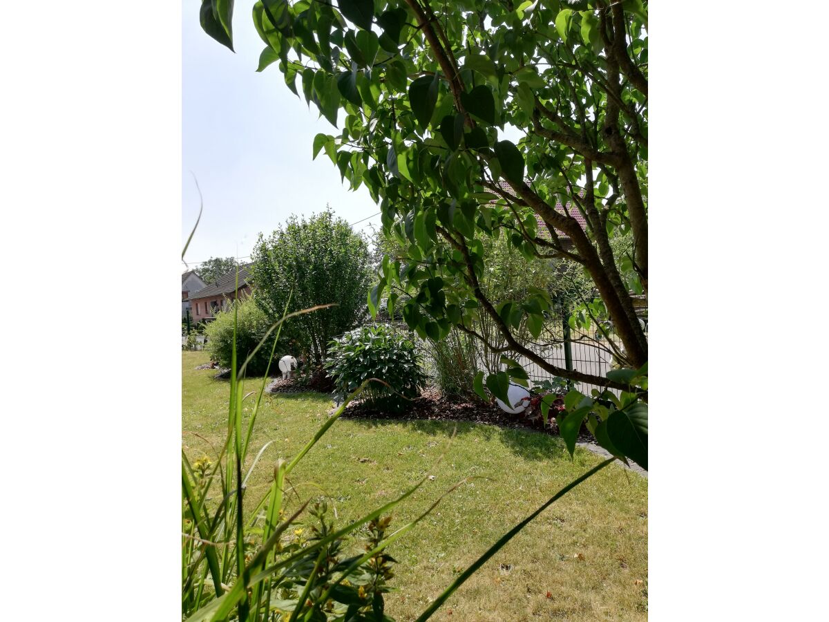 Apartment Neue Allergiker-Ferienwohnung mit Terrasse im WW - Outdoor photo 3