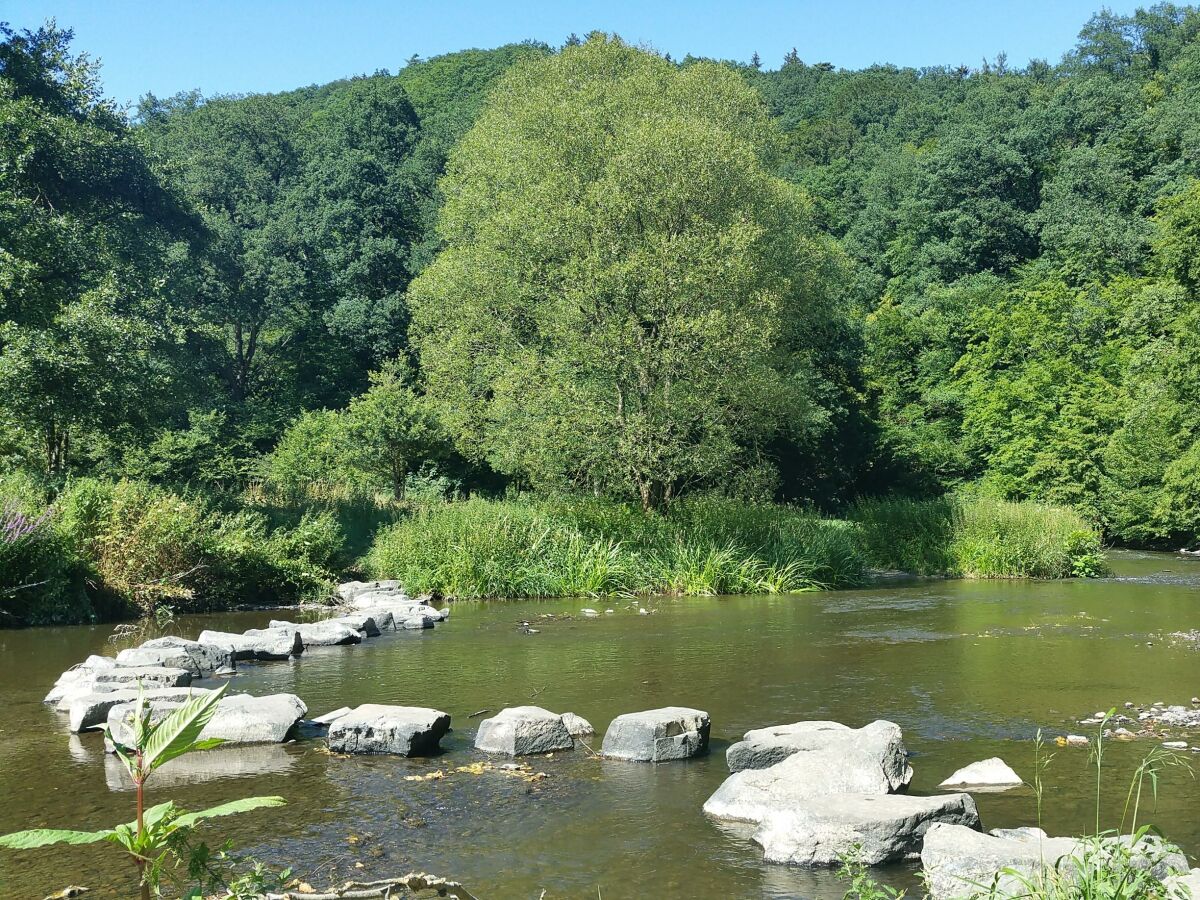 Apartment Neue Allergiker-Ferienwohnung mit Terrasse im WW - Outdoor photo 5