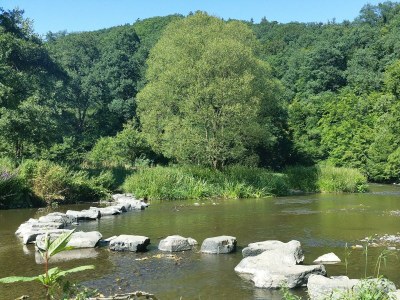Apartment Neue Allergiker-Ferienwohnung mit Terrasse im WW - Outdoor photo 10