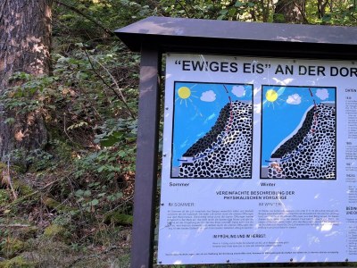 Apartment Neue Allergiker-Ferienwohnung mit Terrasse im WW - Outdoor photo 13