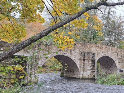 Apartment Neue Allergiker-Ferienwohnung mit Terrasse im WW - Outdoor photo 14